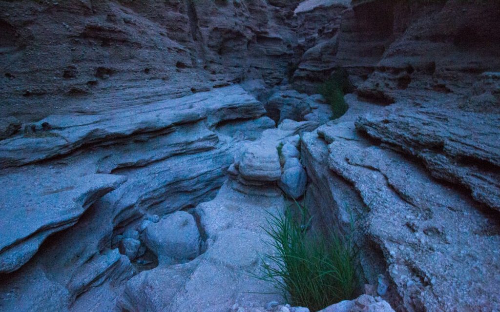 کال جنی طبس