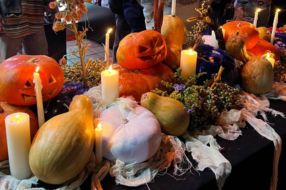  آرتیست: رضا آریا